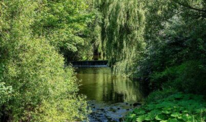 Lush green river view near Springfield Hotel, perfect for family relaxation.