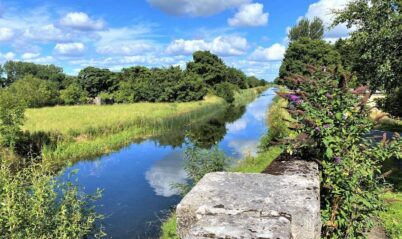 A serene river view with lush greenery under a bright, blue sky near Springfield Hotel.