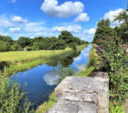 A serene river view with lush greenery under a bright, blue sky near Springfield Hotel.