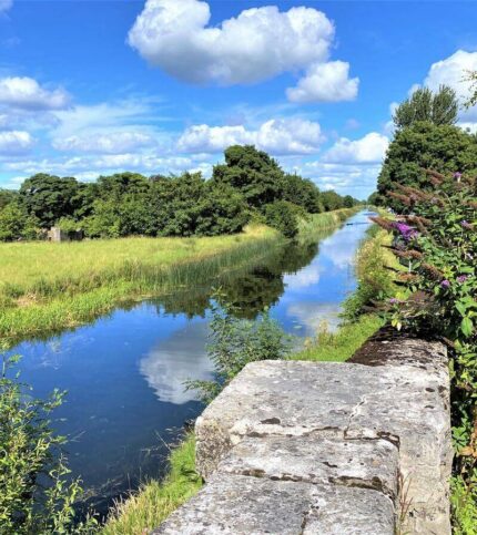 A serene river view with lush greenery under a bright, blue sky near Springfield Hotel.