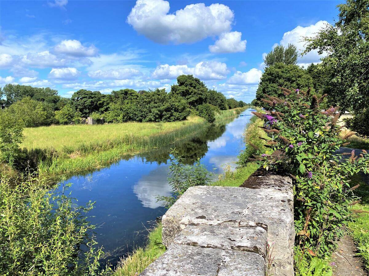 A serene river view with lush greenery under a bright, blue sky near Springfield Hotel.