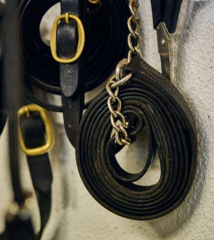 Equestrian gear hung on a wall in Springfield Hotel’s stables.