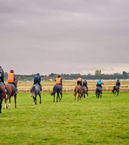 Families enjoying a scenic horse ride on a green, open field under a cloudy sky.