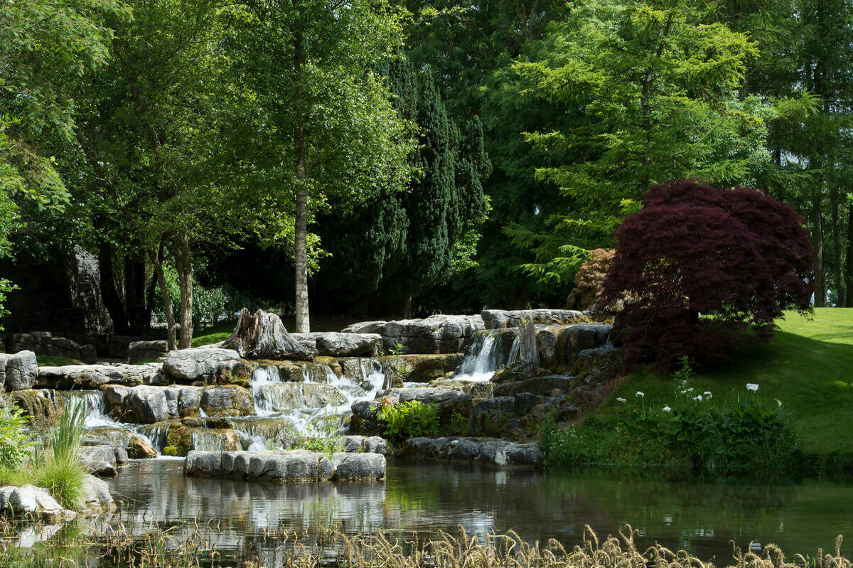 A serene garden with a cascading waterfall surrounded by lush greenery at Springfield Hotel.